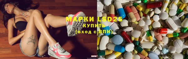 дмт Алзамай