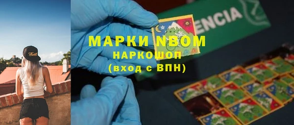дмт Алексин
