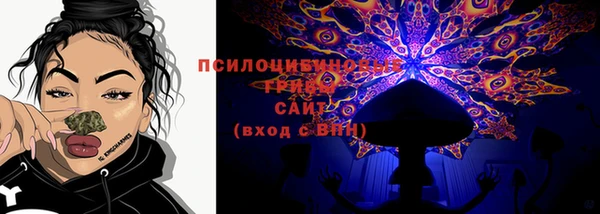 дмт Алзамай